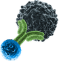 T-Cell Engager Therapeutics Summit Europe Logo